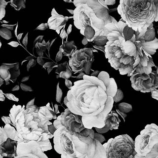 Black and white flower wallpaper