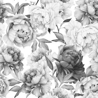 Black and white flower wallpaper