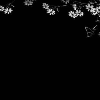 Black and white flower wallpaper