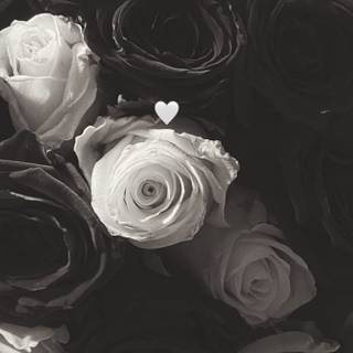 Black and white flower wallpaper