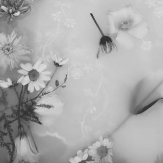 Black and white flower wallpaper