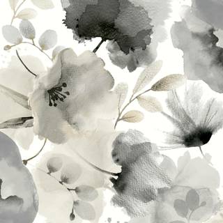 Black and white flower wallpaper