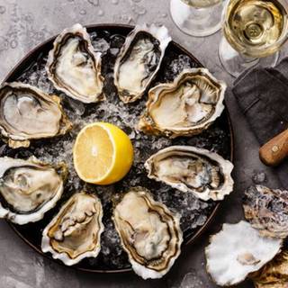 Oyster wallpaper
