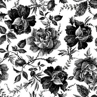 Black and white flower wallpaper