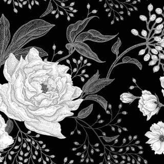 Black and white flower wallpaper