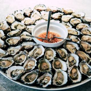 Oyster wallpaper