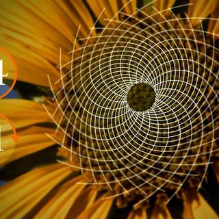 Fibonacci sequence wallpaper