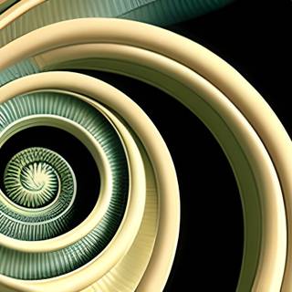 Fibonacci sequence wallpaper