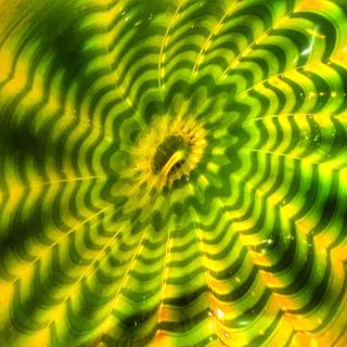 Fibonacci sequence wallpaper