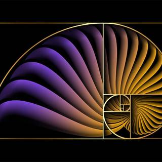 Fibonacci sequence wallpaper