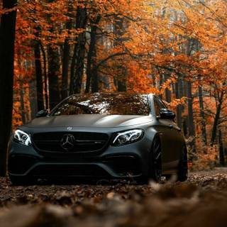 Mercedes-AMG C 43 wallpaper