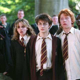 Harry, Hermione and Ron wallpaper