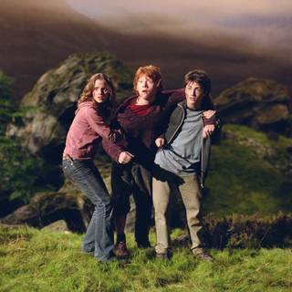 Harry, Hermione and Ron wallpaper