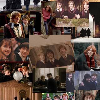 Harry, Hermione and Ron wallpaper