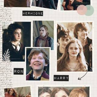 Harry, Hermione and Ron wallpaper