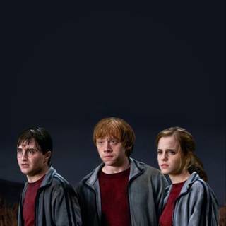 Harry, Hermione and Ron wallpaper