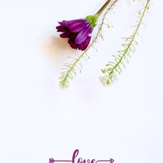 Love phone wallpaper
