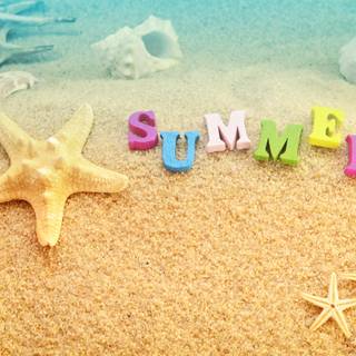 Summer 4k PC wallpaper