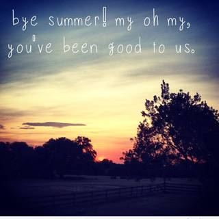 Summer good bye wallpaper