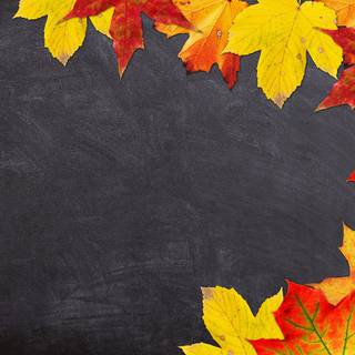 Autumn back to school wallpaper