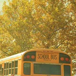 Autumn back to school wallpaper