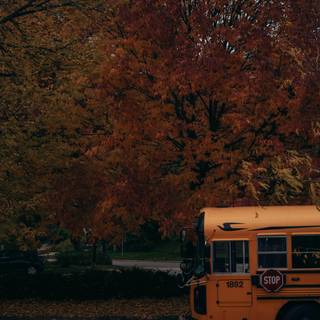 Autumn back to school wallpaper
