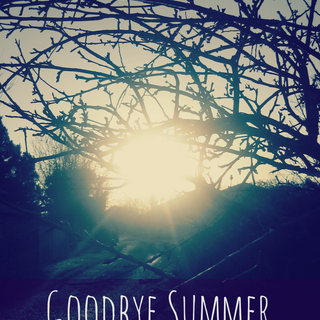 Summer good bye wallpaper