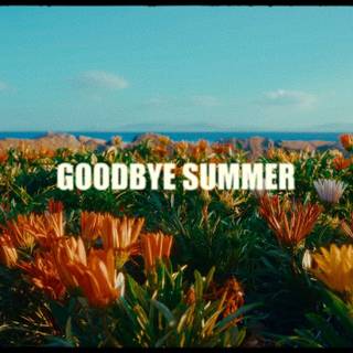 Summer good bye wallpaper