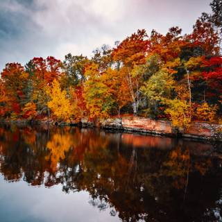 Autumn 1440x2560 wallpaper
