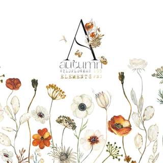 Autumn flowers minimal wallpaper