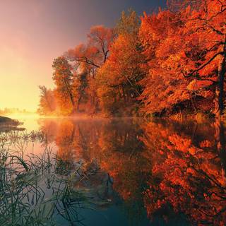Red autumn 4k wallpaper