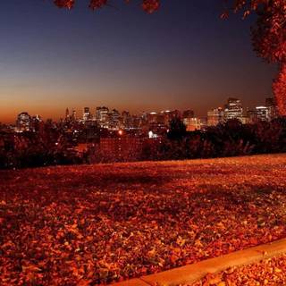 Autumn night 1920x1080 wallpaper