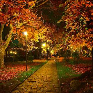 Autumn night 1920x1080 wallpaper