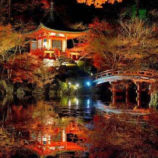 Autumn night 1920x1080 wallpaper