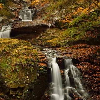 Autumn 1440x2560 wallpaper
