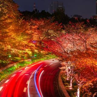 Autumn night 1920x1080 wallpaper