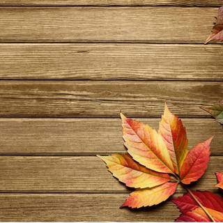 Organizer desktop autumn wallpaper