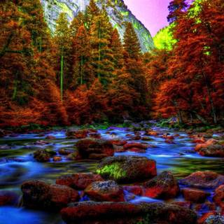 Autumn night 1920x1080 wallpaper