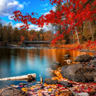 Autumn night 1920x1080 wallpaper