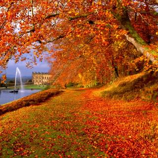 Organizer desktop autumn wallpaper