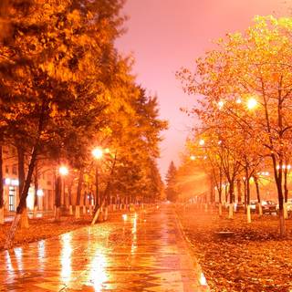 Autumn night 1920x1080 wallpaper
