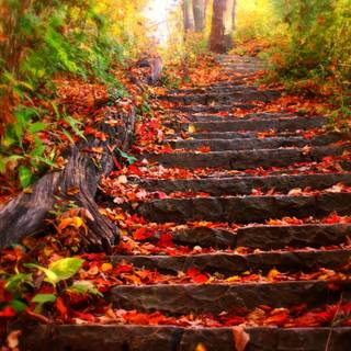 Organizer desktop autumn wallpaper