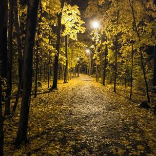Autumn night 1920x1080 wallpaper