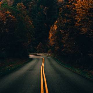 Autumn night 1920x1080 wallpaper