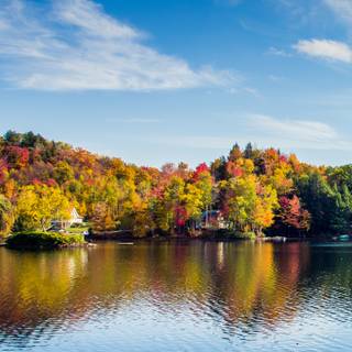 Autumn 1440x2560 wallpaper