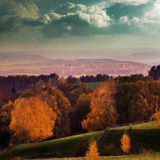 Autumn 1440x2560 wallpaper