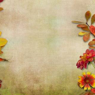 Autumn flowers minimal wallpaper