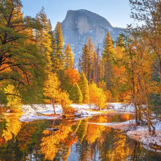 Autumn 1440x2560 wallpaper
