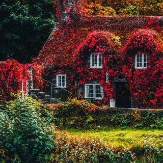Autumn 1440x2560 wallpaper