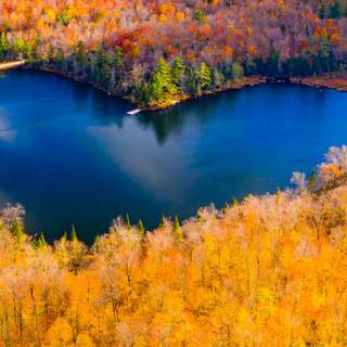 Autumn 1440x2560 wallpaper